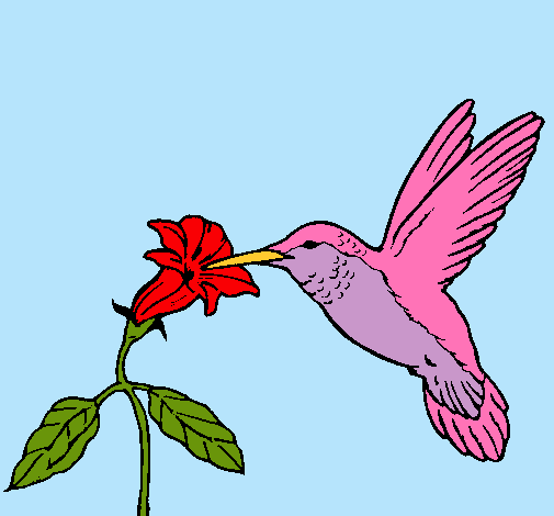 Dibujo Colibrí y una flor pintado por chioo