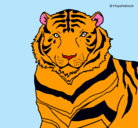 Dibujo Tigre pintado por dulce1234