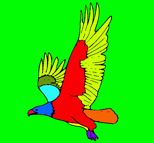 Águila volando