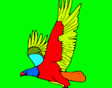 Dibujo Águila volando pintado por maxxam