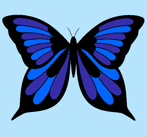 Mariposa 8