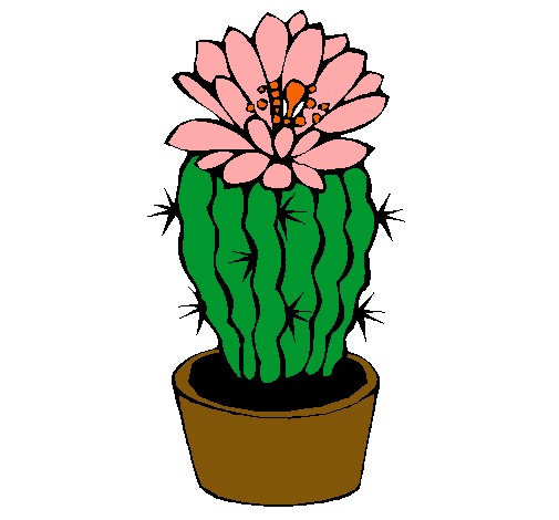 Cactus con flor