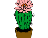 Dibujo Cactus con flor pintado por OMendez