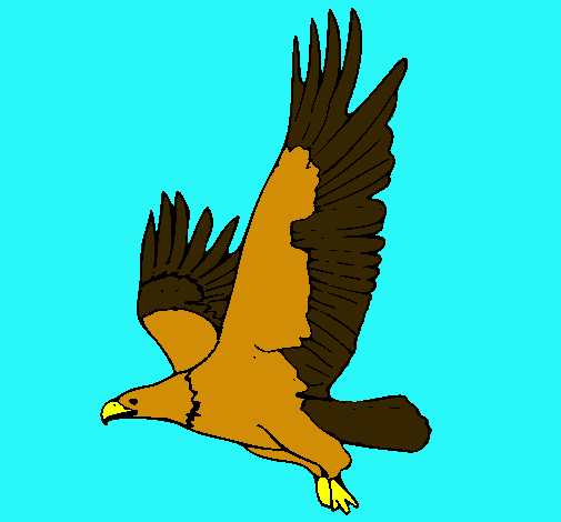 Águila volando