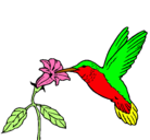 Dibujo Colibrí y una flor pintado por picaflor 