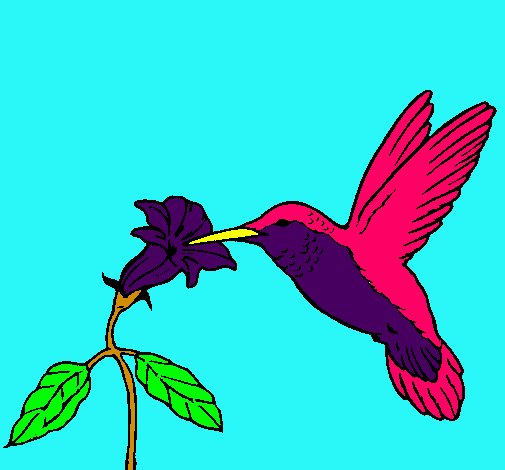 Colibrí y una flor