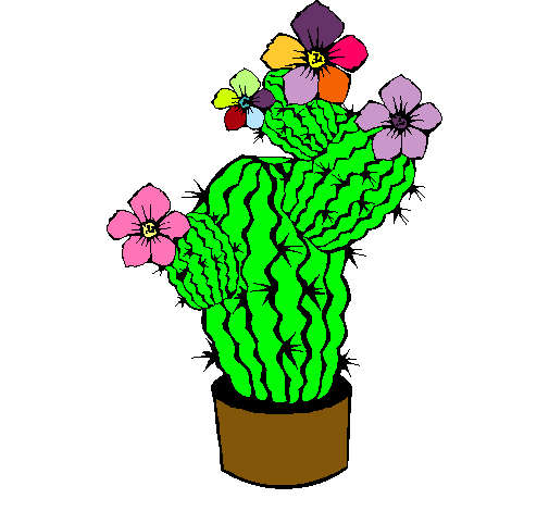 Flores de cactus