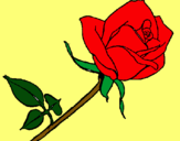 Dibujo Rosa pintado por gabrielashai