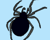 Dibujo Araña venenosa pintado por guapirri