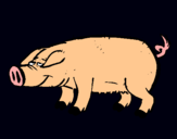 Dibujo Cerdo con pezuñas negras pintado por leonardili