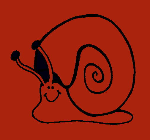 Caracol 