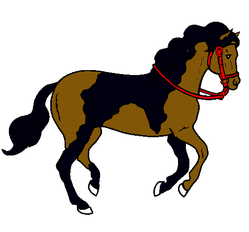 Caballo 5