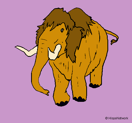 Mamut II