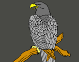 Dibujo Águila en una rama pintado por bloc