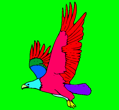 Águila volando