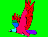 Dibujo Águila volando pintado por maxxam