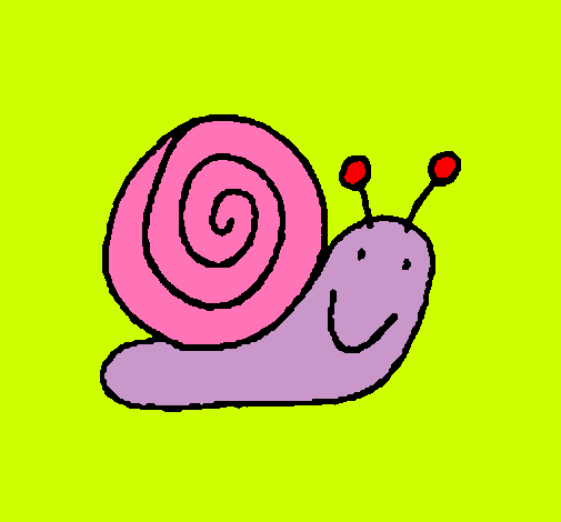 Caracol 4