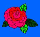 Dibujo Rosa pintado por Caraa