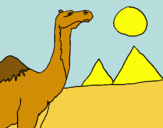 Dibujo Camello pintado por cranc