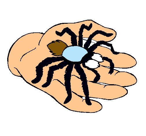 Tarántula