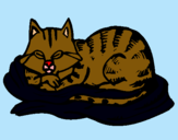 Dibujo Gato en su cama pintado por dulce1234