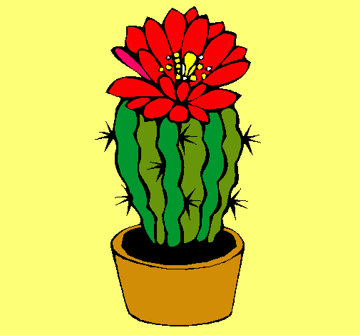 Cactus con flor