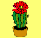 Dibujo Cactus con flor pintado por rt3tryre