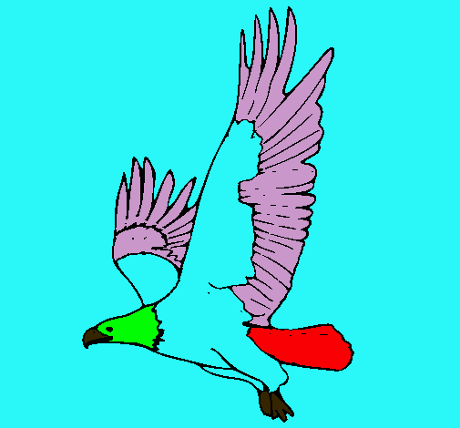 Águila volando