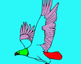 Dibujo Águila volando pintado por galvez1
