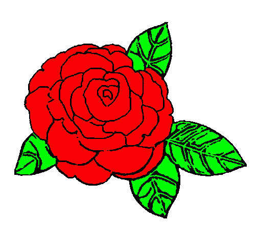 Rosa