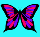 Dibujo Mariposa pintado por timtom