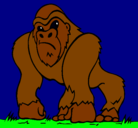 Dibujo Gorila pintado por titoo