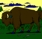 Dibujo Búfalo  pintado por ermides