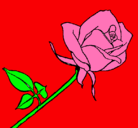Dibujo Rosa pintado por arbolito