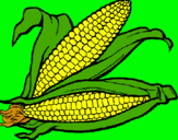Dibujo Mazorca de maíz pintado por ISSANUTA