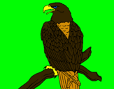Dibujo Águila en una rama pintado por muriel
