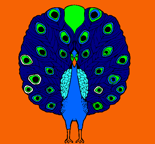 Pavo real