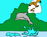 Dibujo Delfín y gaviota pintado por BALE