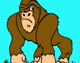 Dibujo Gorila pintado por herrnan