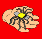 Dibujo Tarántula pintado por Spidermann