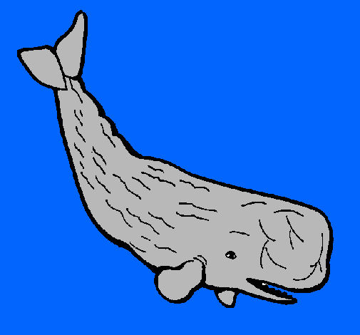 Ballena grande