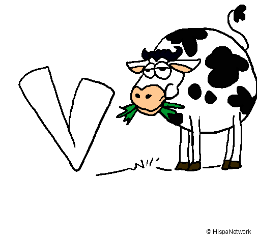 Vaca