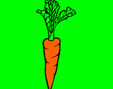 Dibujo zanahoria pintado por zanahor