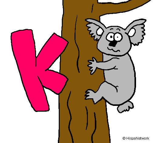 Koala