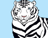 Dibujo Tigre pintado por 69neka69