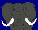 Dibujo Elefante africano pintado por RobertoVV
