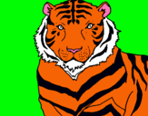 Dibujo Tigre pintado por polf