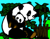 Dibujo Mama panda pintado por marianithaaa