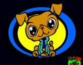 Dibujo Perrito Littlest Pet Shop pintado por Rauly