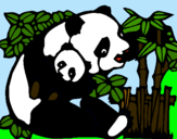 Dibujo Mama panda pintado por ARATH
